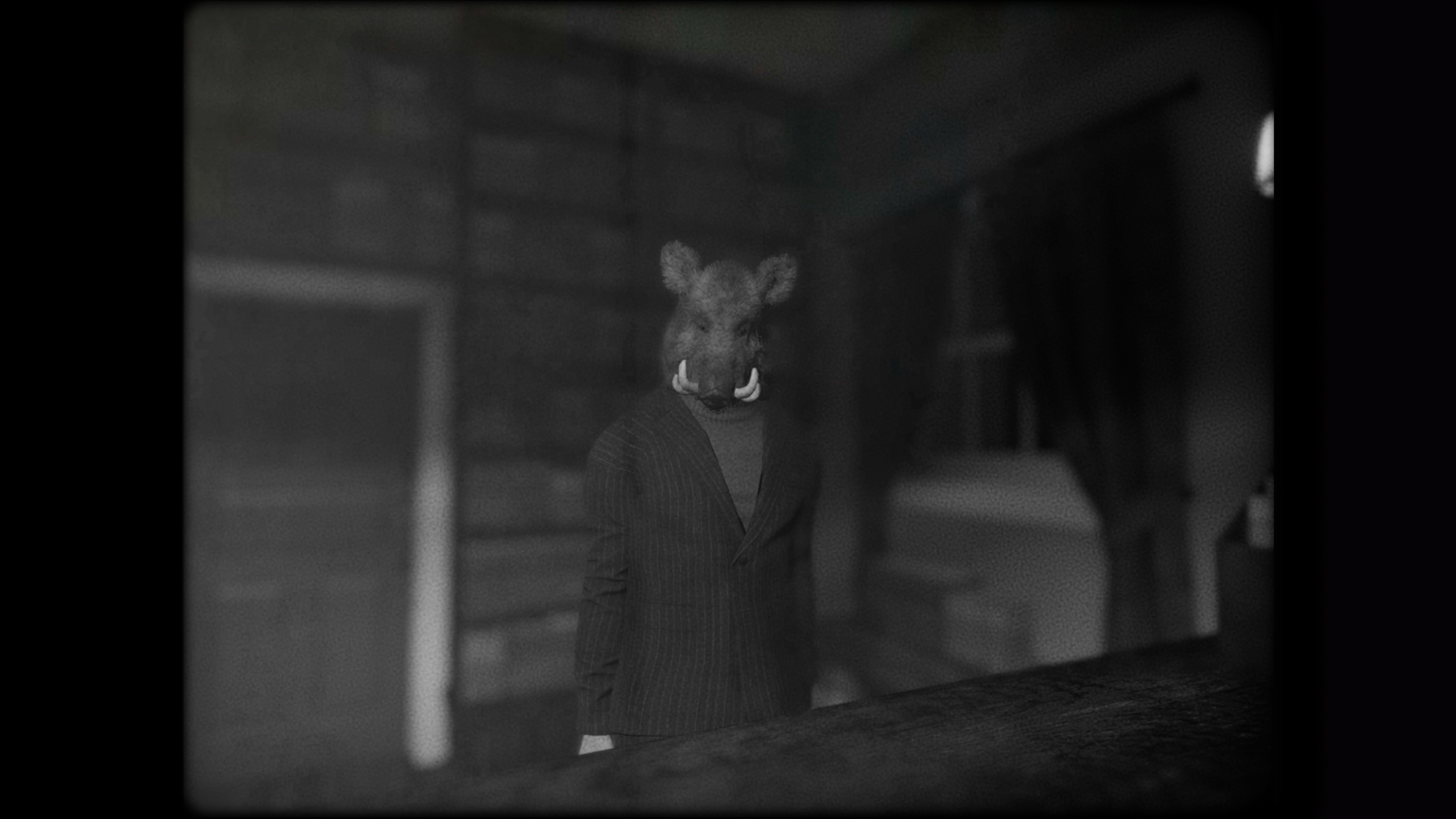 cat-detective-bookseller.jpg