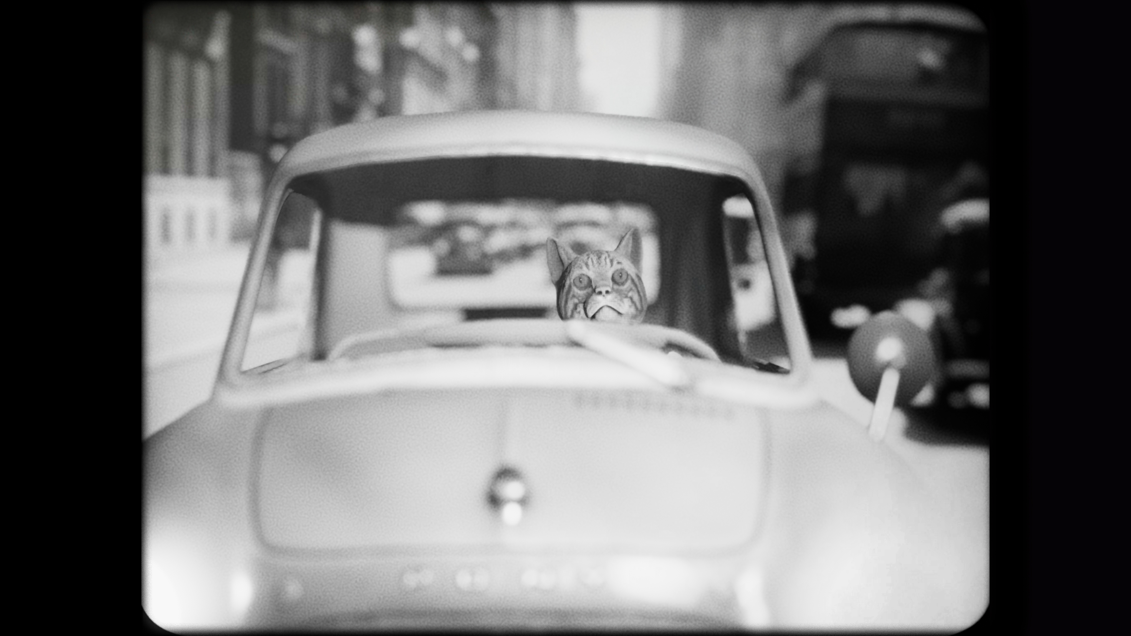cat-detective-car.jpg