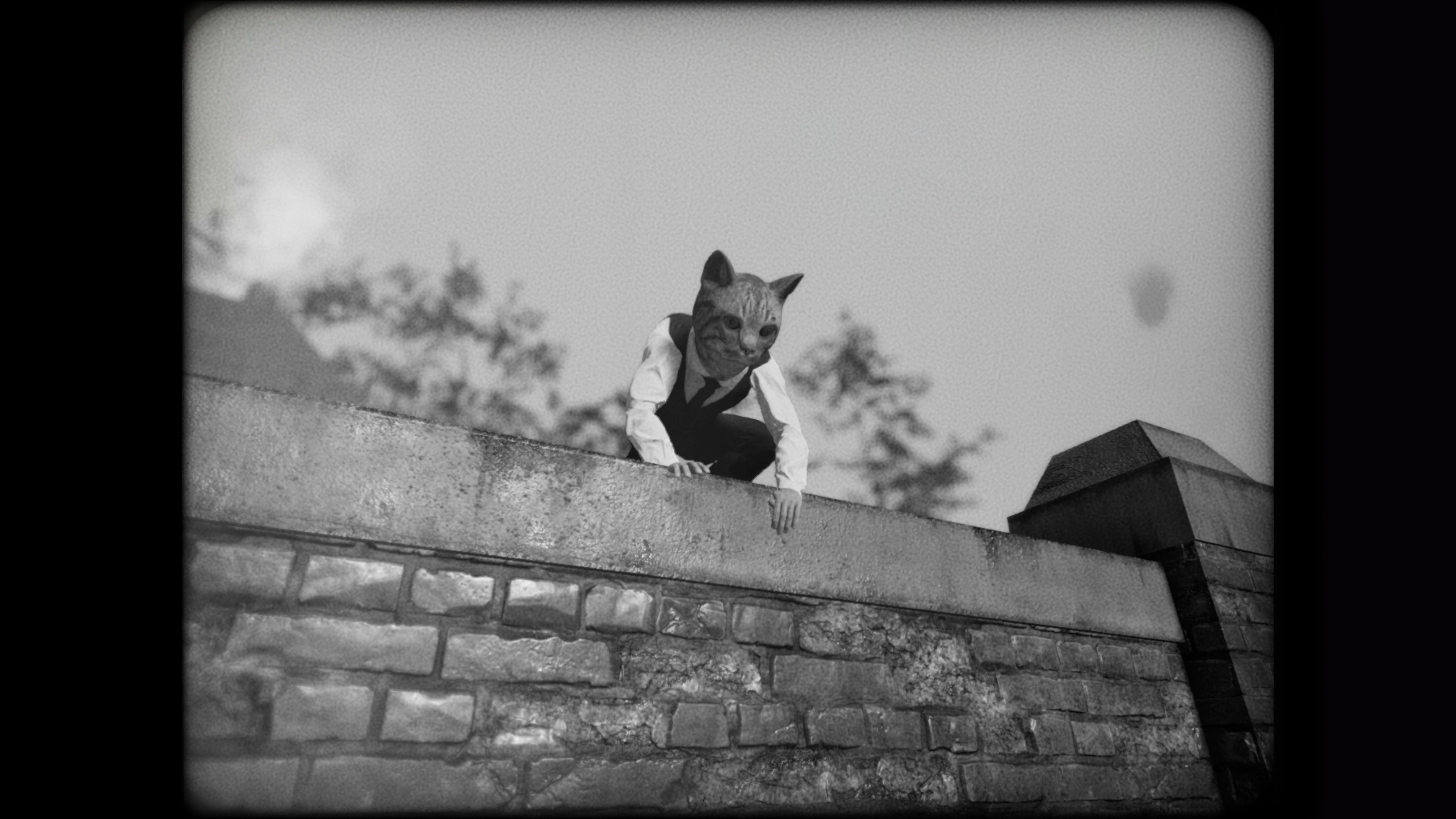 cat-detective-fence.jpg