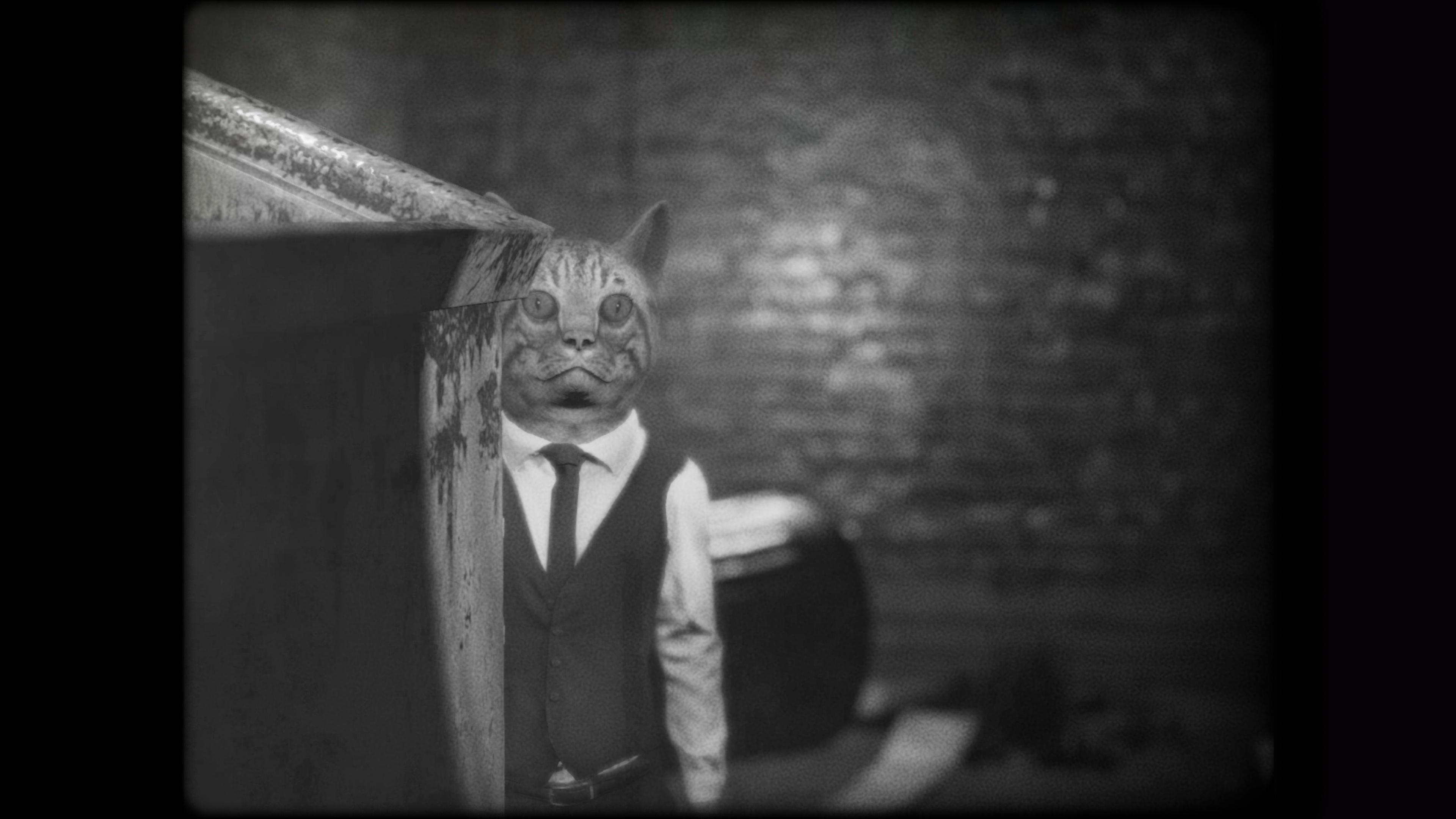 cat-detective-hide.jpg