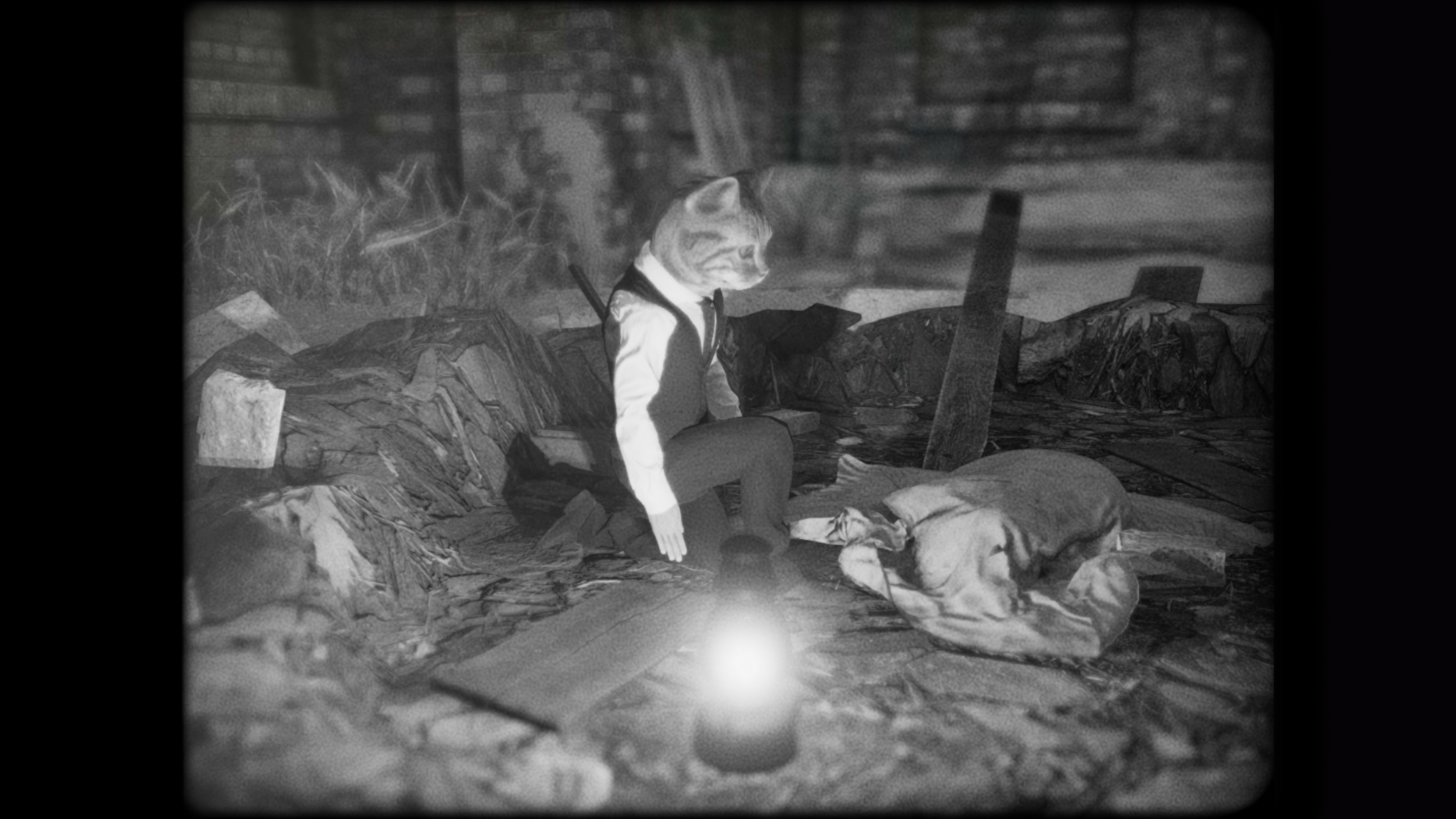 cat-detective-investigate.jpg