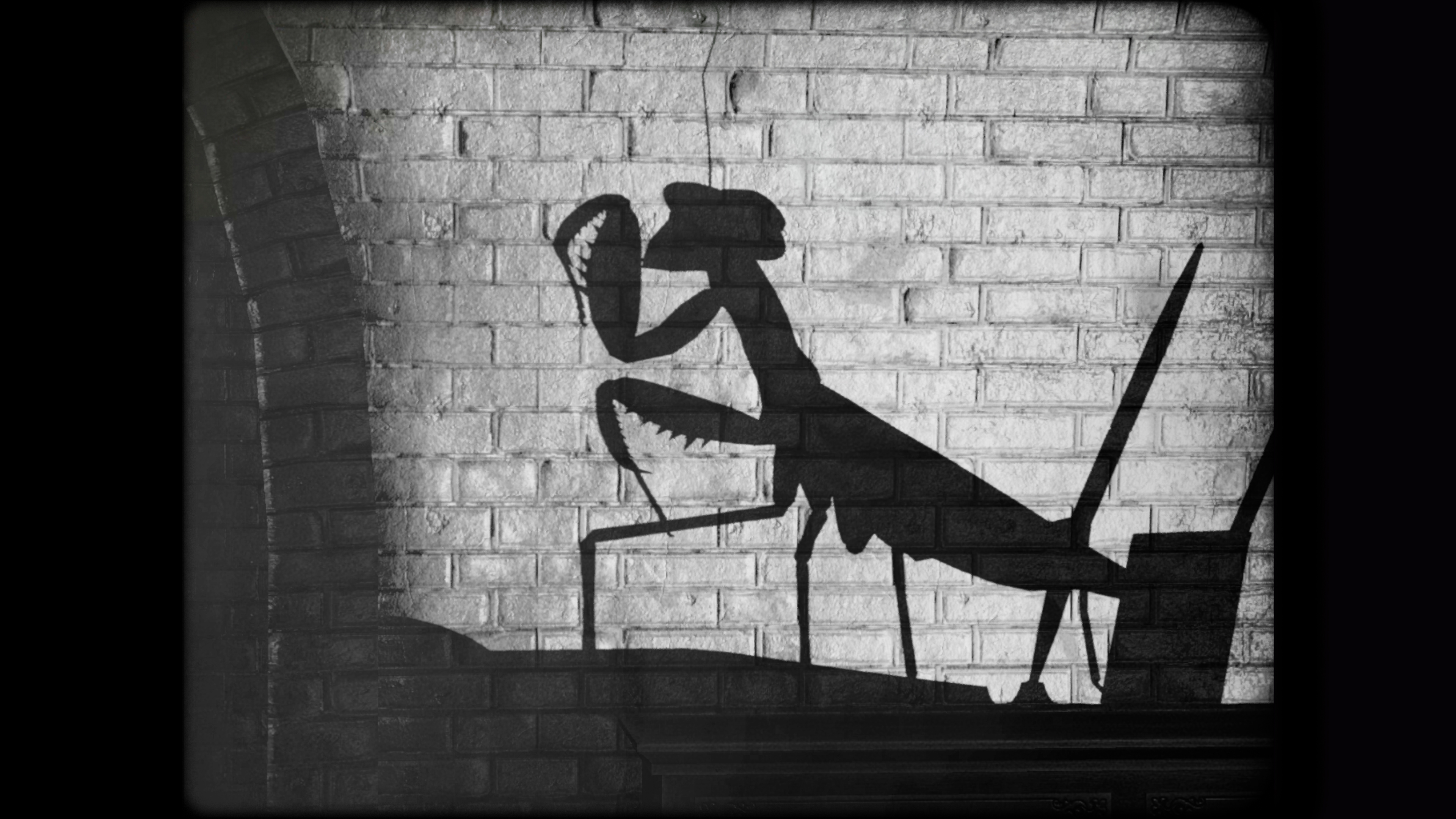 cat-detective-mantis.jpg