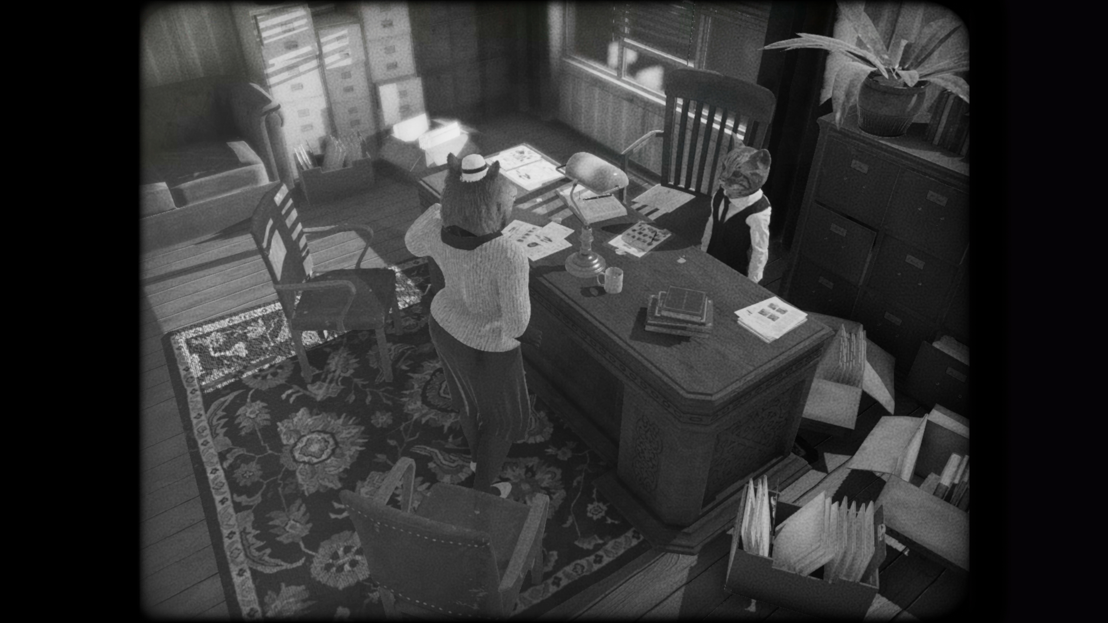 cat-detective-mrs-g.jpg
