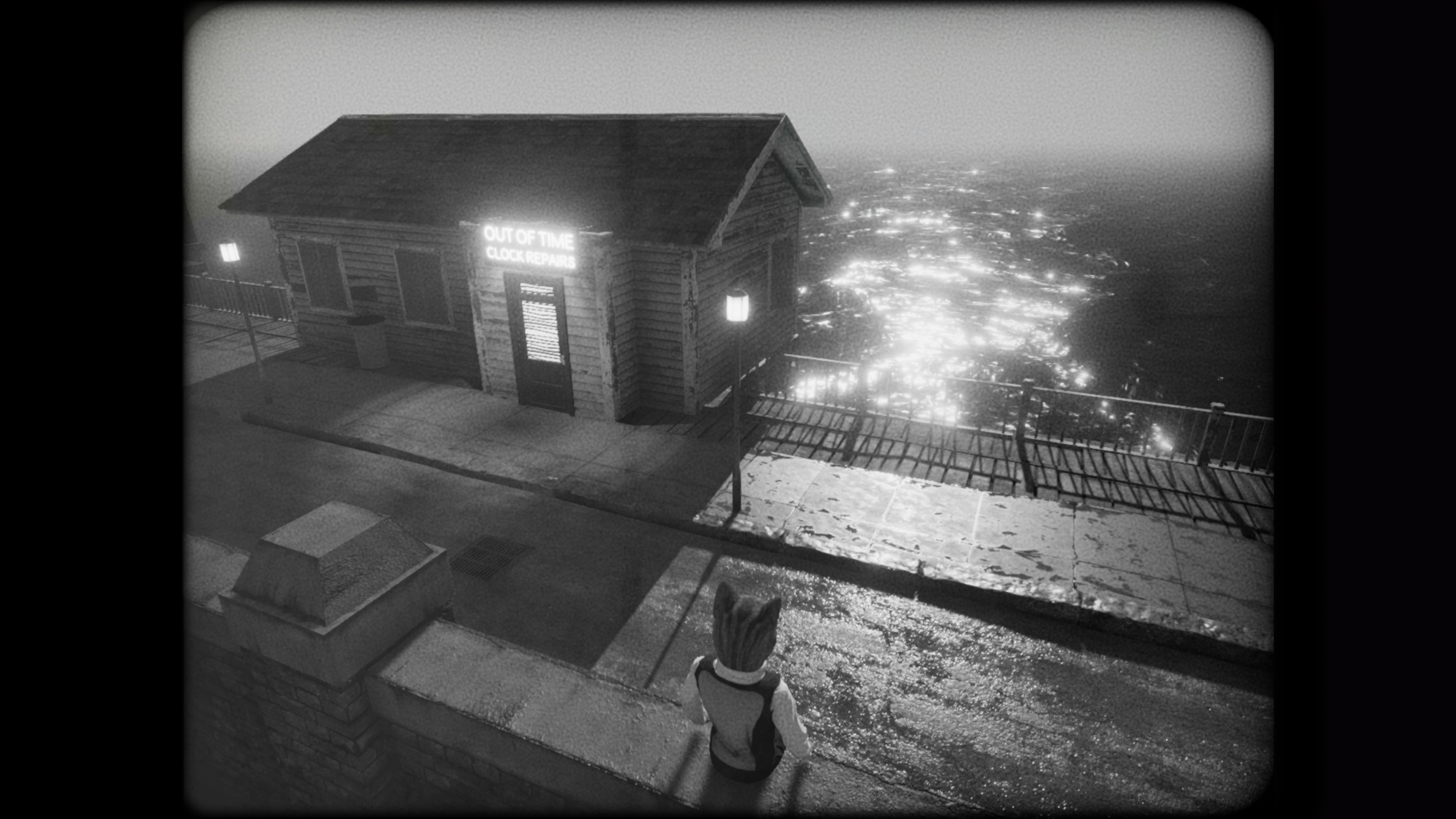 cat-detective-view.jpg